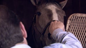 Jockeys, Season 2 Episode 5 image