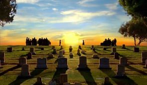 Pushing Daisies, Season 1 Episode 1 image