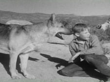 The Adventures of Champion, Season 1 Episode 3 image