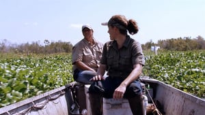 Swamp People, Season 3 Episode 4 image