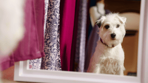 Evermoor, Season 2 Episode 6 image