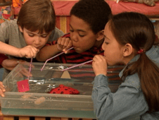 Out of the Box, Season 1 Episode 5 image