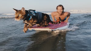 Cat People, Season 1 Episode 6 image