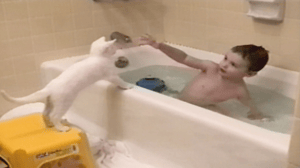 America's Funniest Home Videos, Season 16 Episode 3 image