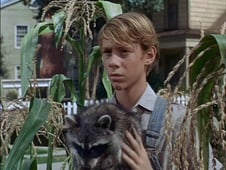 The Magical World of Disney, Season 19 Episode 15 image