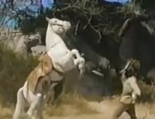 Zorro, Season 2 Episode 3 image