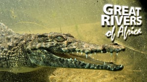 Great Rivers of Africa, Season 1 Episode 9 image
