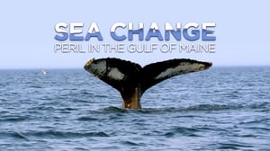 Nova, Season 51 Episode 10 image