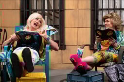 Studio C, Season 14 Episode 6 image