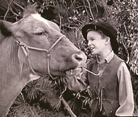 Wagon Train, Season 2 Episode 36 image