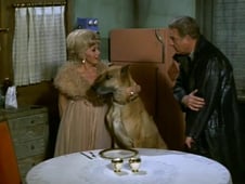Green Acres, Season 4 Episode 26 image