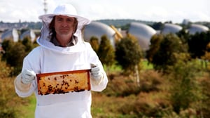 Richard Hammond's Invisible Worlds, Season 1 Episode 2 image