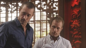 Hawaii Five-0, Season 8 Episode 23 image