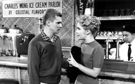 The Many Loves of Dobie Gillis, Season 1 Episode 1 image