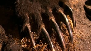 World's Deadliest, Season 1 Episode 3 image