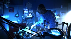 CSI: Crime Scene Investigation, Season 6 Episode 14 image