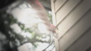 Snapped, Season 19 Episode 6 image