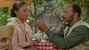 Dr. Quinn, Medicine Woman, Season 2 Episode 5 image