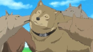Wolf's Rain, Season 1 Episode 8 image