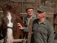 M*A*S*H, Season 5 Episode 11 image