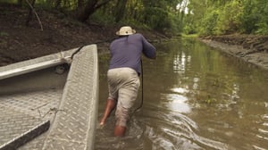 Swamp People, Season 13 Episode 5 image