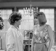 Empty Nest, Season 3 Episode 4 image