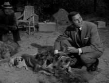 Peter Gunn, Season 1 Episode 3 image