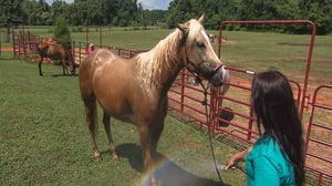 Tennessee Crossroads, Season 31 Episode 26 image