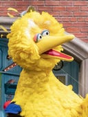 Sesame Street, Season 51 Episode 3 image