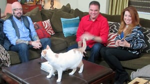 My Cat from Hell, Season 7 Episode 9 image