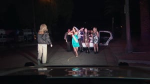 Reno 911!, Season 7 Episode 4 image