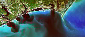 What on Earth?, Season 7 Episode 4 image