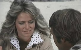 The Six Million Dollar Man, Season 4 Episode 2 image