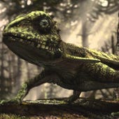 Planet Dinosaur, Season 1 Episode 2 image