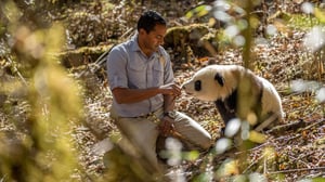 EARTH a New Wild, Season 1 Episode 1 image