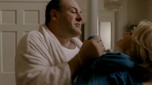 The Sopranos, Season 6 Episode 16 image
