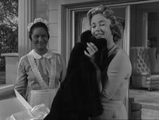 Alfred Hitchcock Presents, Season 6 Episode 1 image