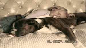 America's Funniest Home Videos, Season 16 Episode 5 image