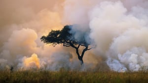 A Perfect Planet, Season 1 Episode 3 image