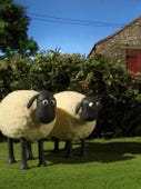 Shaun the Sheep, Season 2 Episode 4 image