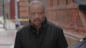 Law & Order: Special Victims Unit, Season 16 Episode 11 image