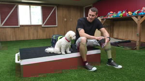 Lucky Dog, Season 4 Episode 14 image