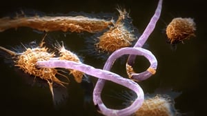 Monsters Inside Me, Season 3 Episode 10 image