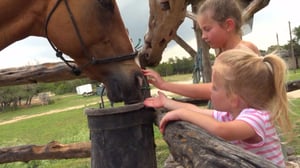 OutDaughtered, Season 6 Episode 6 image