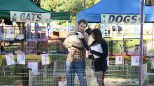 Parks and Recreation, Season 4 Episode 19 image