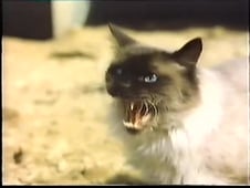 Tucker's Witch, Season 1 Episode 12 image