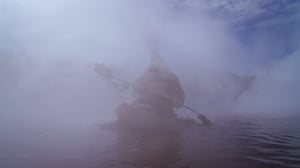 Wildwoods, Season 1 Episode 3 image