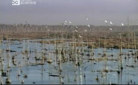 Discovery Project Earth, Season 1 Episode 3 image