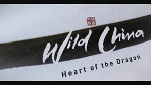 The Nature of Things, Season 47 Episode 14 image