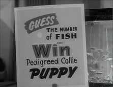 Leave It to Beaver, Season 4 Episode 21 image